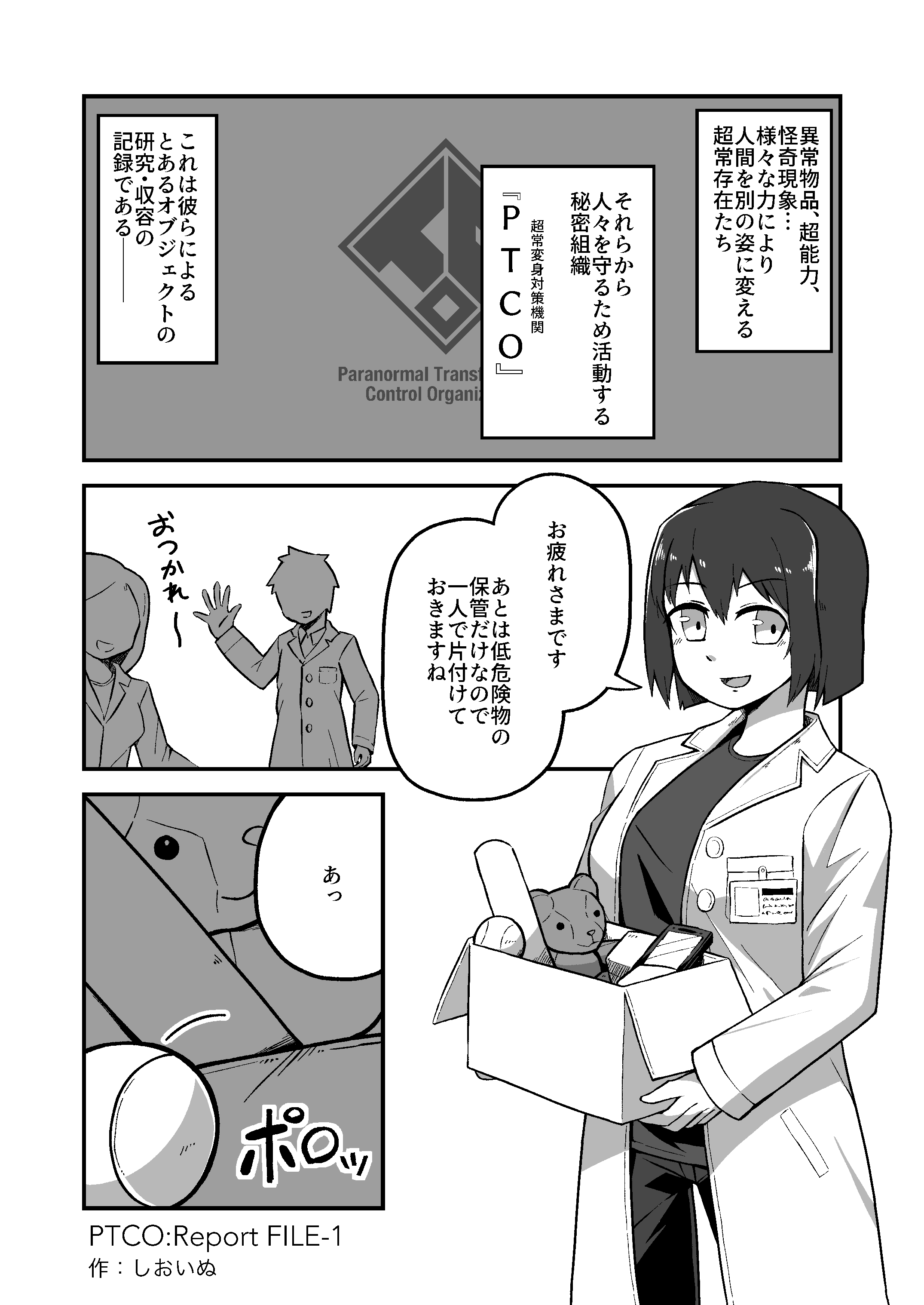 PTCO:Report FILE-1 1