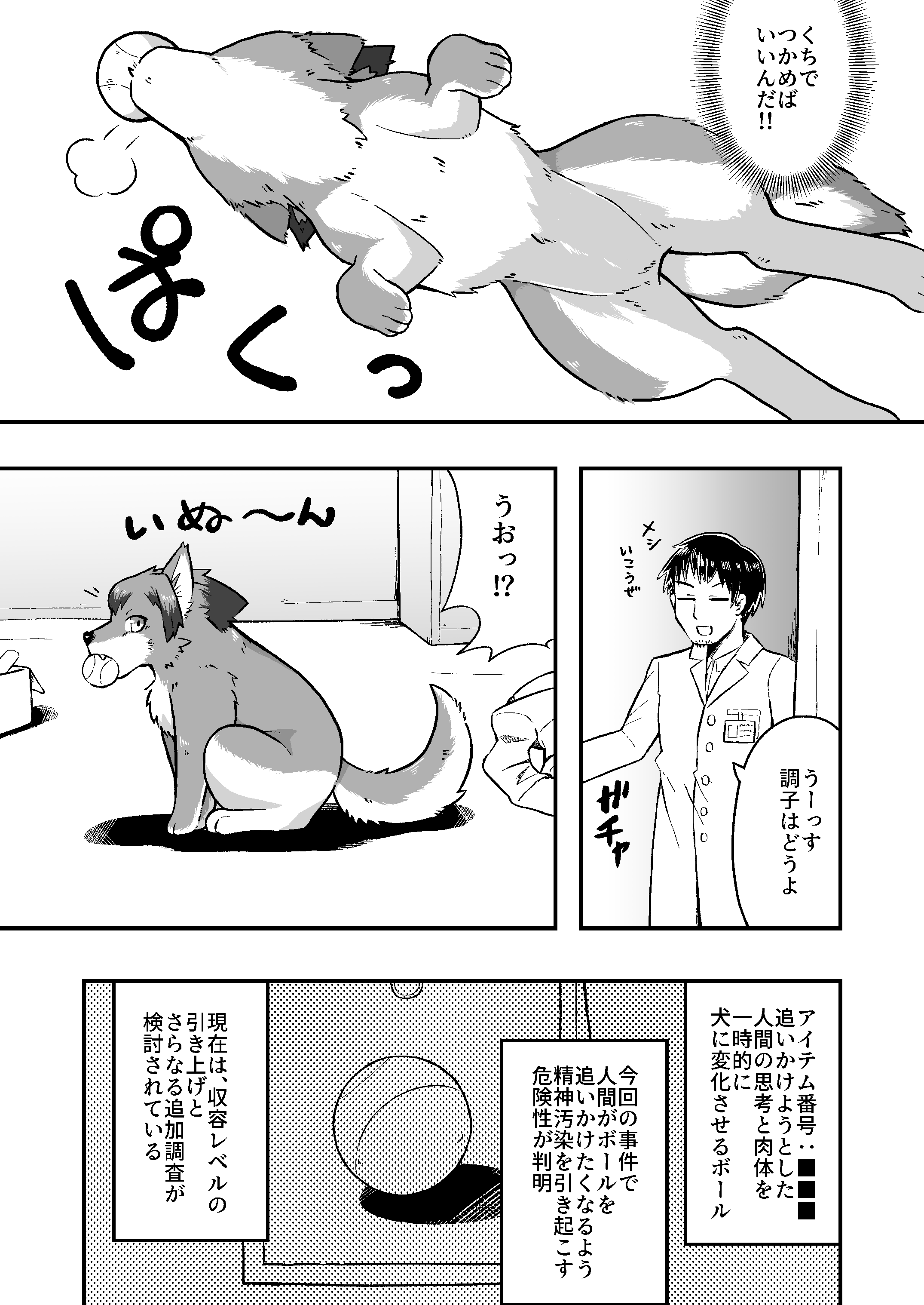 PTCO:Report FILE-1 4