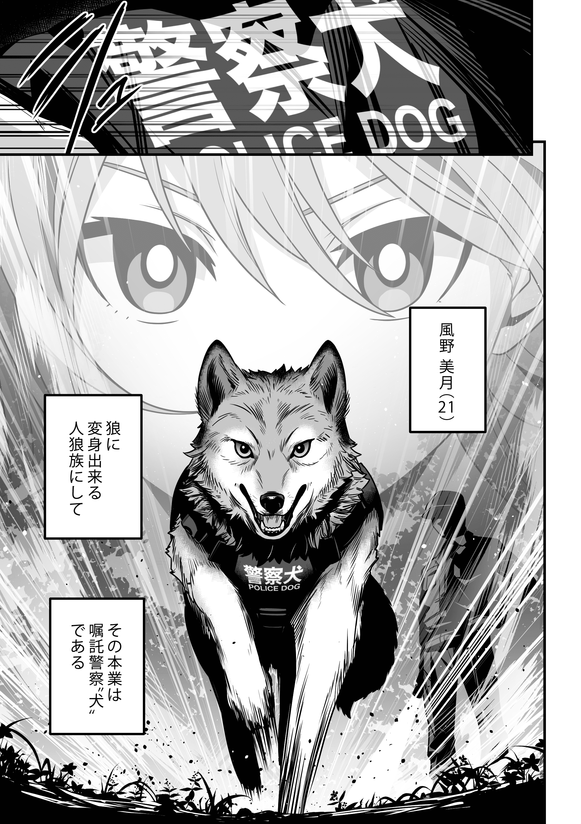 K9.WOLF（ケイナイン・ウルフ） 4