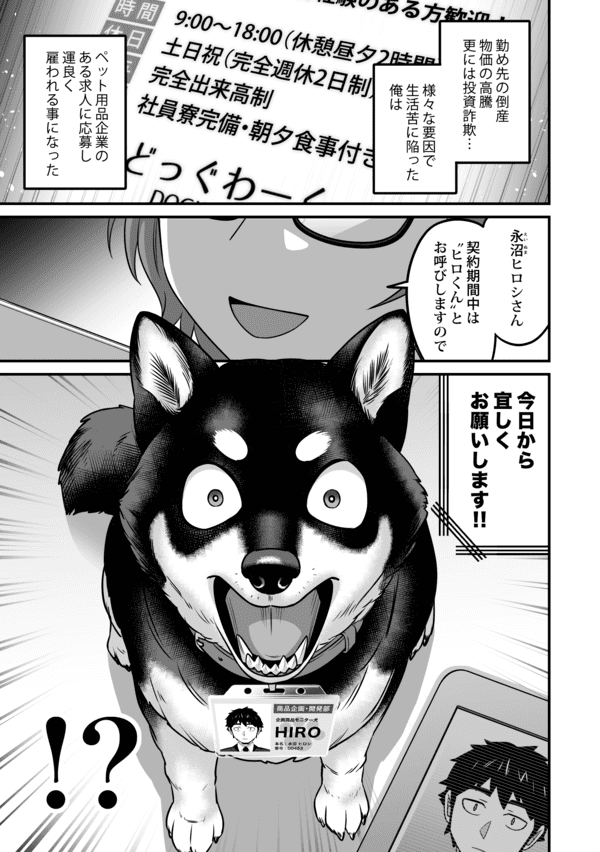 社内モニター犬-HIRO-
